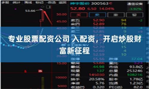 专业股票配资公司 入配资，开启炒股财富新征程