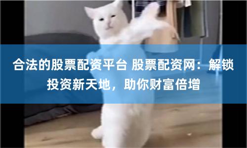 合法的股票配资平台 股票配资网：解锁投资新天地，助你财富倍增