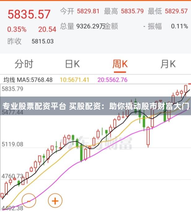 专业股票配资平台 买股配资：助你撬动股市财富大门