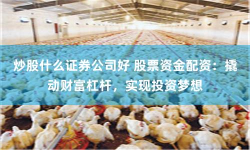 炒股什么证券公司好 股票资金配资:撬动财富杠杆,实现投资梦想